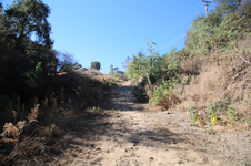 Enlarge photo 30