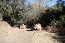 Enlarge photo 31
