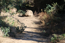 Enlarge photo 33