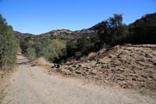 Enlarge photo 34