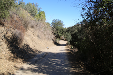 Enlarge photo 36