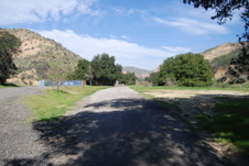 Enlarge photo 169