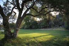 Enlarge photo 43