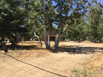 Enlarge photo 3