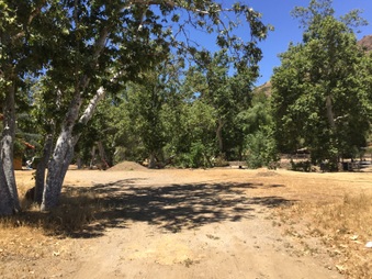 Enlarge photo 6