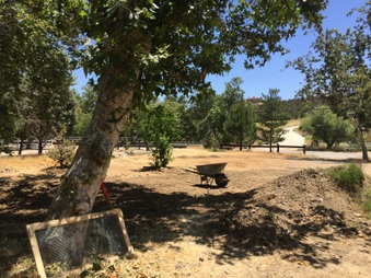Enlarge photo 17
