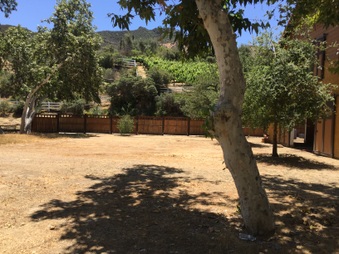 Enlarge photo 19