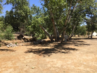 Enlarge photo 29