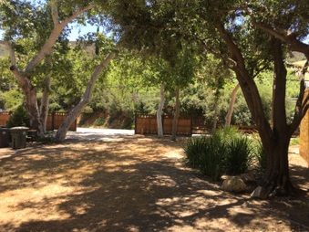 Enlarge photo 34