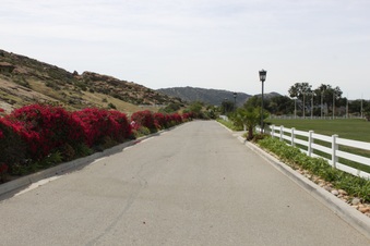 Enlarge photo 175