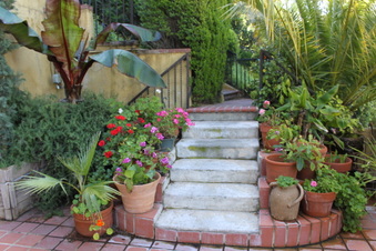 Enlarge photo 11