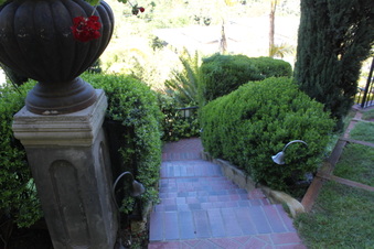 Enlarge photo 15