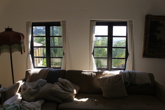 Enlarge photo 59