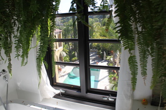 Enlarge photo 70