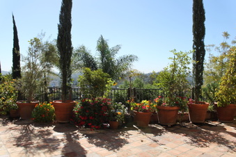 Enlarge photo 97