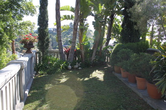 Enlarge photo 116