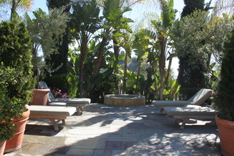 Enlarge photo 117