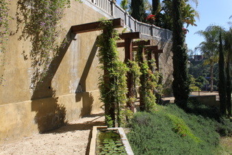 Enlarge photo 167