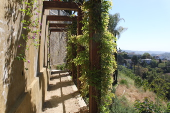 Enlarge photo 169