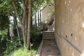 Enlarge photo 172