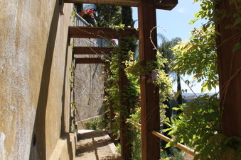 Enlarge photo 171