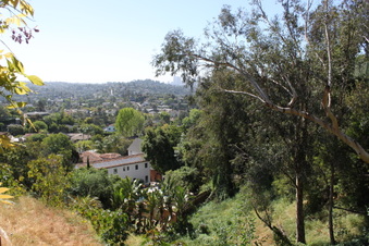 Enlarge photo 173