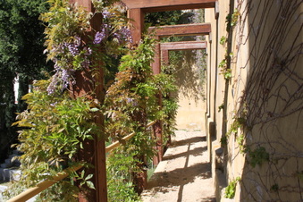 Enlarge photo 174