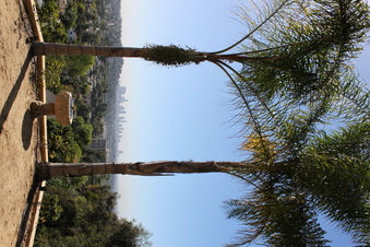Enlarge photo 182