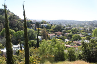 Enlarge photo 183