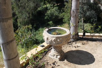 Enlarge photo 185