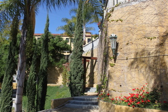 Enlarge photo 186