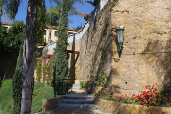 Enlarge photo 187
