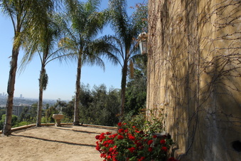 Enlarge photo 194