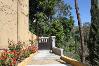 Enlarge photo 193