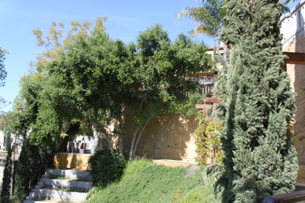 Enlarge photo 195