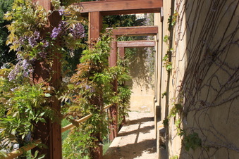 Enlarge photo 196