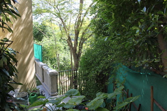 Enlarge photo 207