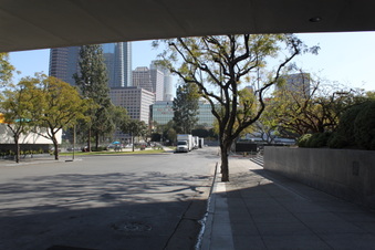 Enlarge photo 146