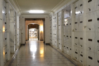 Enlarge photo 313