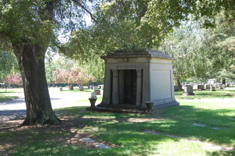 Enlarge photo 281