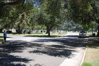 Enlarge photo 285
