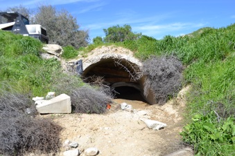 Enlarge photo 3