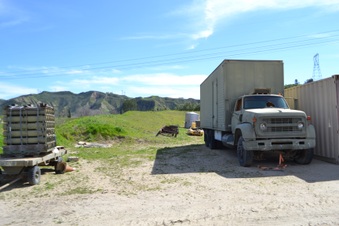 Enlarge photo 47