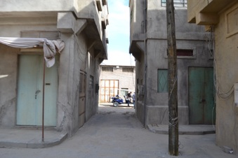 Enlarge photo 81