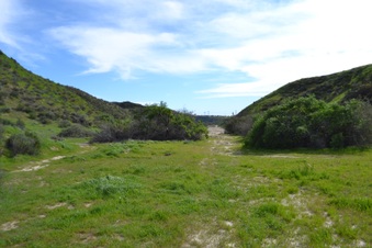 Enlarge photo 144