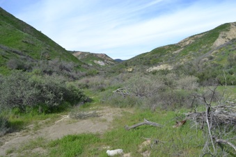 Enlarge photo 141