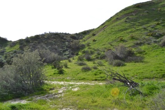 Enlarge photo 143