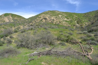 Enlarge photo 145