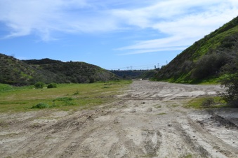 Enlarge photo 146