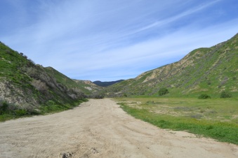 Enlarge photo 147
